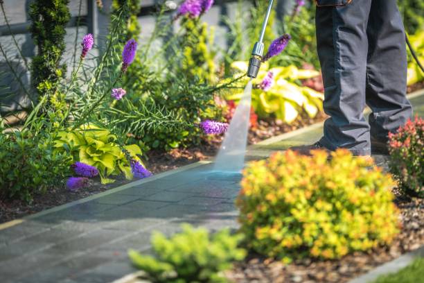 Professional Pressure Washing in Fruitland, NC